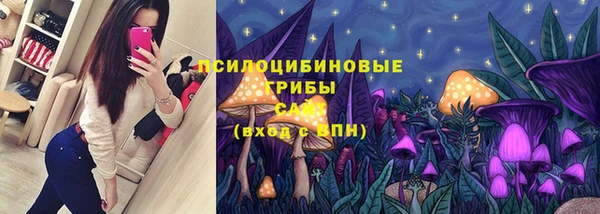 прущая мука Бугульма